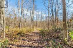574291 SIDE ROAD 40 | Markdale Ontario | Slide Image Forty-nine