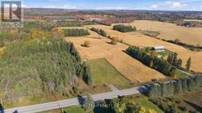 343 PONTYPOOL ROAD | Kawartha Lakes Ontario | Slide Image Two
