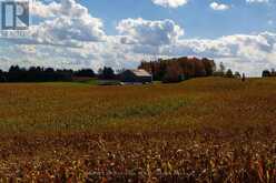 18101 SHAWS CREEK ROAD | Caledon Ontario | Slide Image Forty-seven