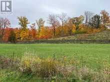 46 TERRAIN COURT | East Gwillimbury Ontario | Slide Image Eight