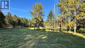2955 16TH SIDE ROAD | King Ontario | Slide Image Eight