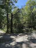 VACANT LAND - 1040 OAK ROAD | Gravenhurst Ontario | Slide Image Five
