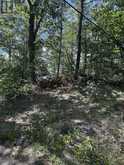 VACANT LAND - 1040 OAK ROAD | Gravenhurst Ontario | Slide Image Eight
