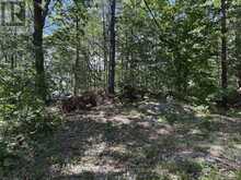 VACANT LAND - 1040 OAK ROAD | Gravenhurst Ontario | Slide Image Nine