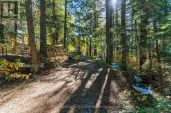 1316 MANNIES TRAIL | Haliburton Ontario | Slide Image Three