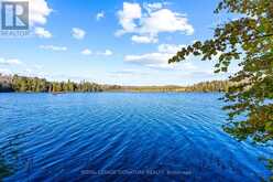 1316 MANNIES TRAIL | Haliburton Ontario | Slide Image Five