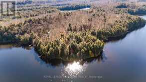 1316 MANNIES TRAIL | Haliburton Ontario | Slide Image Eight