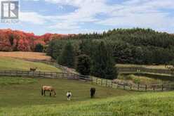 18101 SHAWS CREEK Road | Caledon Ontario | Slide Image Three