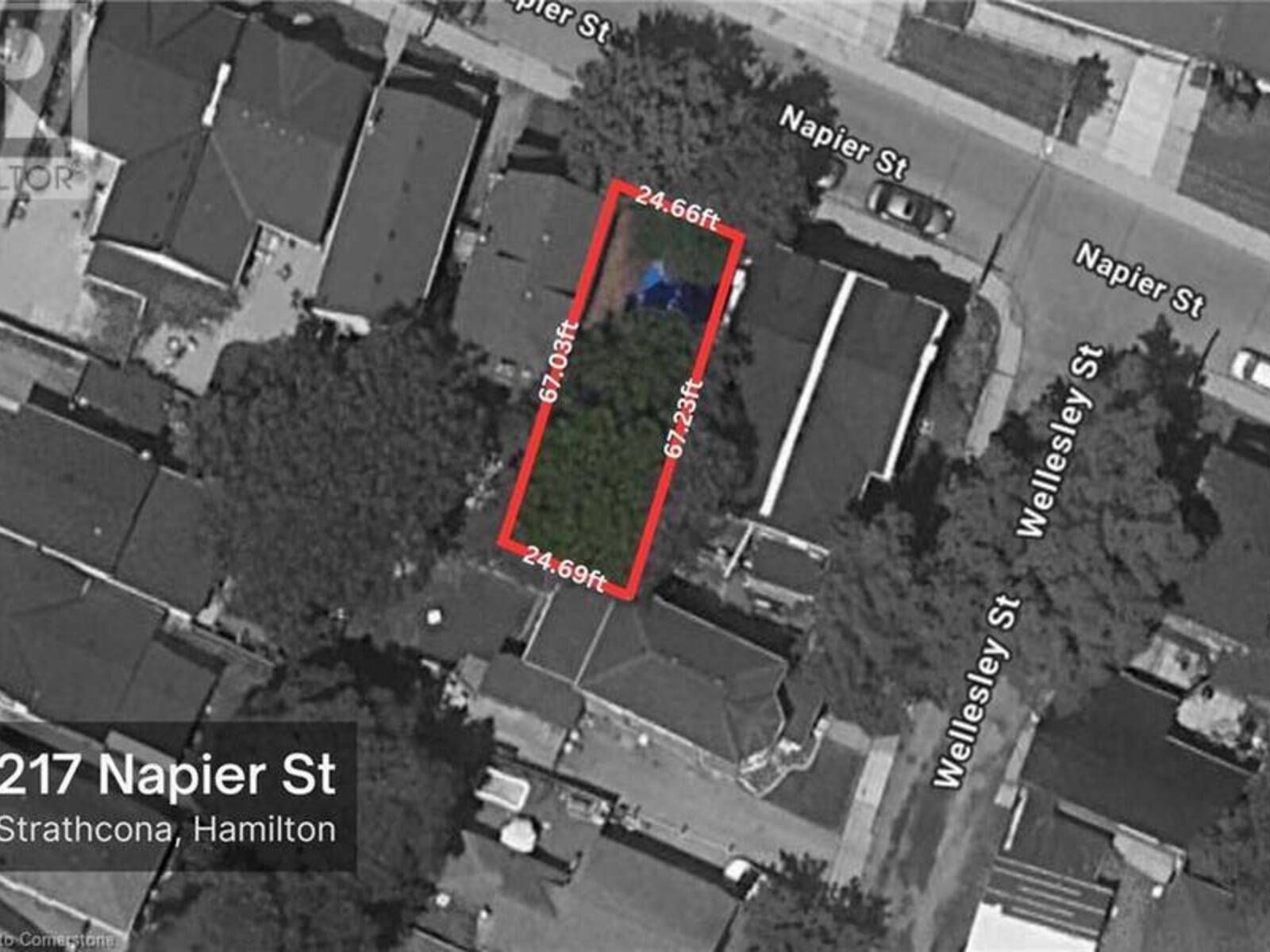 217 NAPIER Street, Hamilton, Ontario L8R 1S9