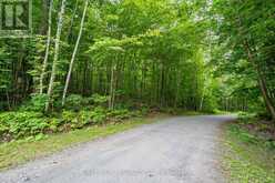 237 WEST BAY LANE | Bancroft Ontario | Slide Image Twelve