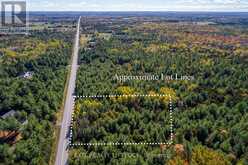 4 & 6 COUNTY RD 40 N | Douro-Dummer Ontario | Slide Image Two