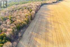 CON 7PT LOT 7 CENTURY FARM ROAD | Kawartha Lakes Ontario | Slide Image Nine