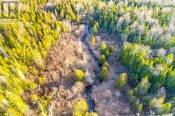 CON 7PT LOT 7 CENTURY FARM ROAD | Kawartha Lakes Ontario | Slide Image Nineteen