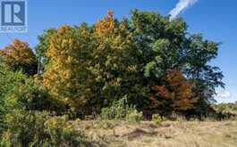 LOT A CAPTAINS DRIVE | Prince Edward Ontario | Slide Image Nineteen