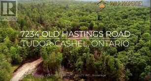 7234 OLD HASTINGS LOT 50 RD | Tudor and Cashel Ontario | Slide Image One
