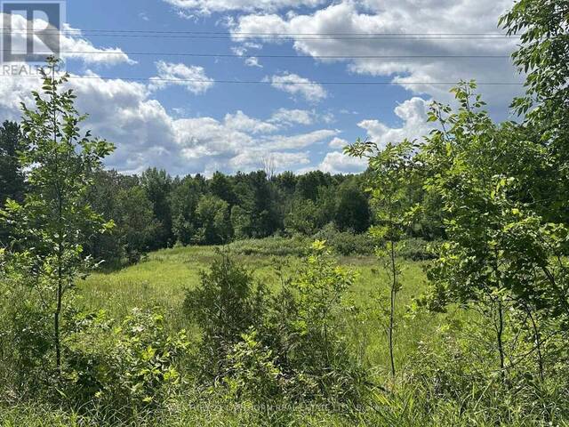 0 SCOTCH SETTLEMENT ROAD N Madoc Ontario, K0K 2K0 - Vacant Land For Sale