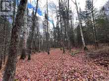 678 CENTREVIEW ROAD | Hastings Highlands Ontario | Slide Image Eight