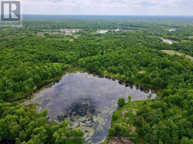 0 BLACK RIVER ROAD Kawartha Lakes Ontario, L0K 2B0