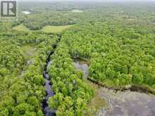 0 BLACK RIVER ROAD | Kawartha Lakes Ontario | Slide Image Twenty-two