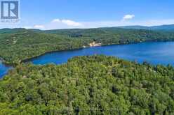 0 BURBIDGE LANE | Madawaska Valley Ontario | Slide Image Fifteen