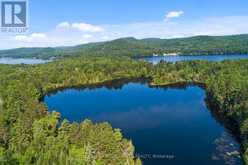 0 GRUNWALD ROAD | Madawaska Valley Ontario | Slide Image Four