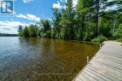 518 MAZINAW LAKE | Addington Highlands Ontario | Slide Image Five