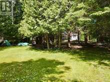 81 MCGUIRE BEACH ROAD | Kawartha Lakes Ontario | Slide Image Thirty-eight