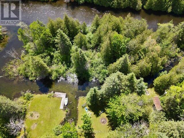 81 MCGUIRE BEACH ROAD Kawartha Lakes Ontario, K0M 2B0