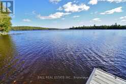 4570 HAY LAKE | South Algonquin Ontario | Slide Image Twenty