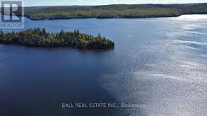 4570 HAY LAKE | South Algonquin Ontario | Slide Image Five