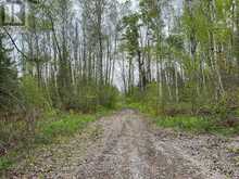 . RUTHERFORD ROAD | Alnwick/Haldimand Ontario | Slide Image Seventeen