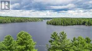 A - 665 JACQUES BAY ROAD | Addington Highlands Ontario | Slide Image Forty