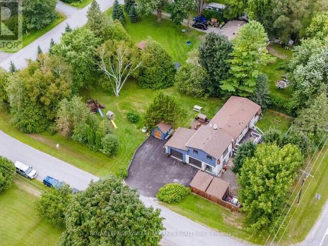 17 MINONEN ROAD Georgina Ontario, L0E 1N0