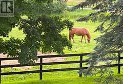 421 MEADOWVIEW ROAD | Kawartha Lakes Ontario | Slide Image Thirty-nine