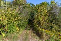 LOT 1 FOUR POINTS ROAD | Kawartha Lakes Ontario | Slide Image Twenty-three