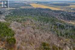 0 BALLYDUFF ROAD | Kawartha Lakes Ontario | Slide Image Eight