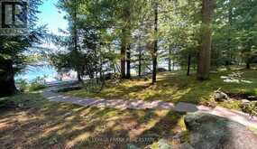 2 WHITE ISLAND | Alnwick/Haldimand Ontario | Slide Image Nine