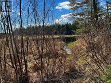 793 CAMERON ROAD | Faraday Ontario | Slide Image Fourteen