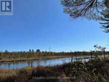 1907 COUNTY RD 46 | Havelock-Belmont-Methuen Ontario | Slide Image Thirty-five