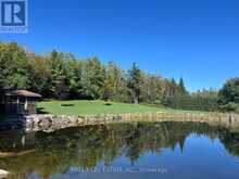 1907 COUNTY RD 46 | Havelock-Belmont-Methuen Ontario | Slide Image Five