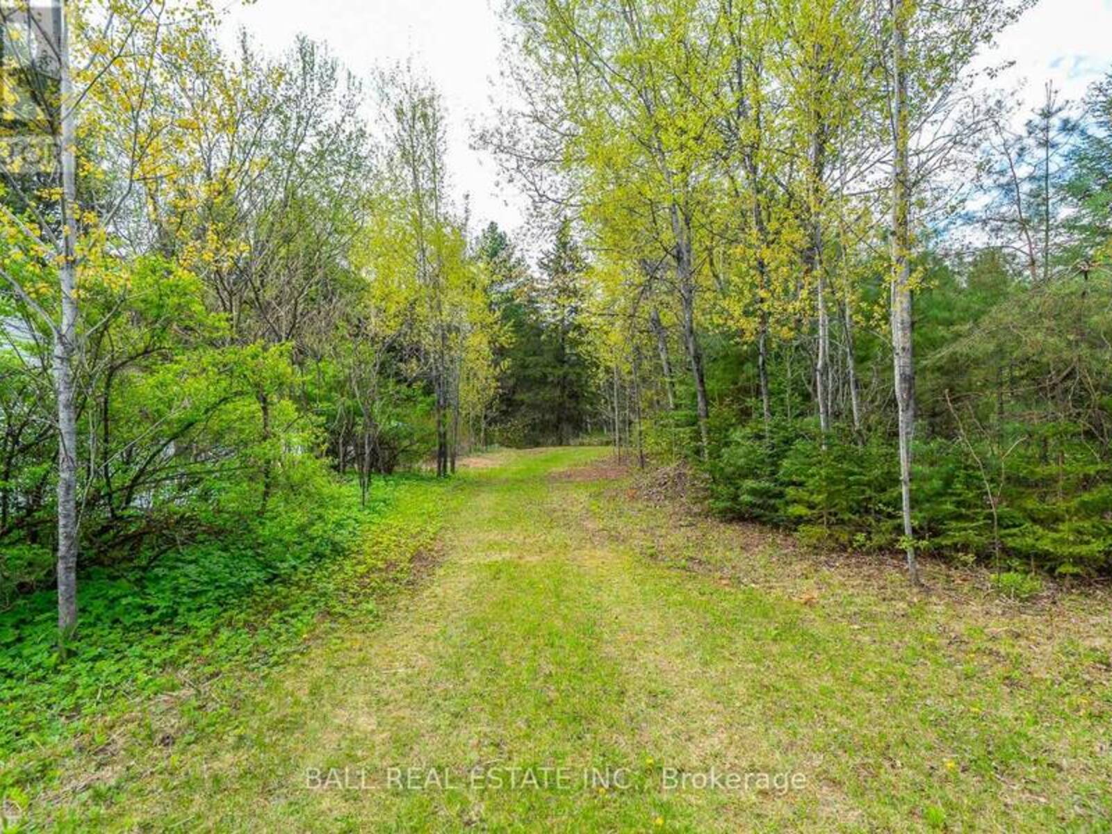 0 THE AVENUE, Kawartha Lakes, Ontario K0M 2A0