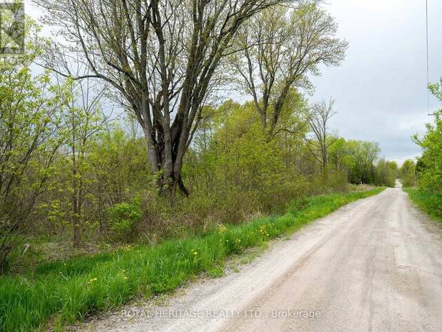 PLOT 14 ACREMAN ROAD Madoc Ontario, K0K 2K0 - Vacant Land For Sale