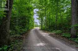 0 MILL LINE ROAD | Galway-Cavendish and Harvey Ontario | Slide Image Four