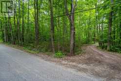 0 MILL LINE ROAD | Galway-Cavendish and Harvey Ontario | Slide Image Six