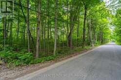 0 MILL LINE ROAD | Galway-Cavendish and Harvey Ontario | Slide Image Seven