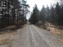 0 LILAC ROAD | Kawartha Lakes Ontario | Slide Image Nine