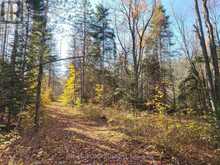 0 MADAWASKA ROAD | Hastings Highlands Ontario | Slide Image Seven