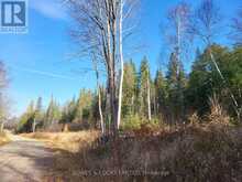 0 MADAWASKA ROAD | Hastings Highlands Ontario | Slide Image Seventeen