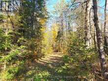 0 MADAWASKA ROAD | Hastings Highlands Ontario | Slide Image Eighteen