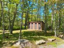 3987 COUNTY ROAD 6 | North Kawartha Ontario | Slide Image Nine